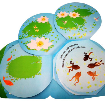 Vòng Đời Kỳ Diệu - Ếch Xanh Bé Nhỏ