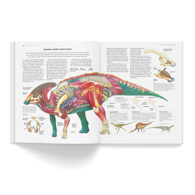Sách - Bách Khoa Khủng Long Toàn Tập - Đông A