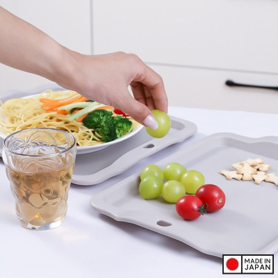 Khay dùng cho lò vi sóng Sanada Seiko - Hàng Nội Địa Nhật Bản