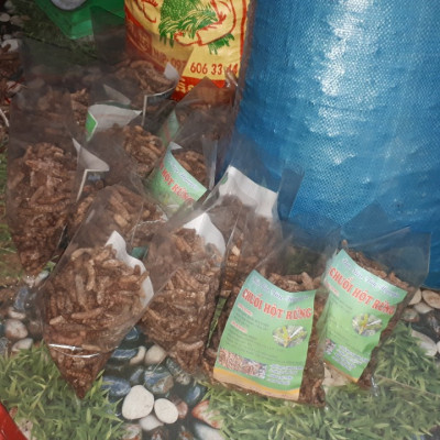 Đặc Sản Kon Tum - 1Kg Chuối Hột Rừng Hàng đẹp Giá Rẻ chuyên Ngâm Chum  OCOP 3 Sao