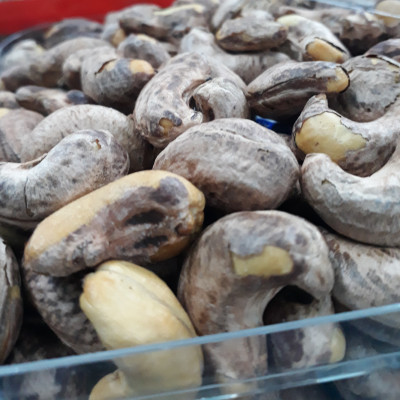 Hạt Điều Lụa Rang Muối Loại 1 Natureplus | Gói 500g Giòn Chất Lượng