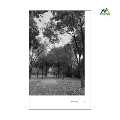 Sách - Phía Không Nhau - Tác giả Hannah Hoàng