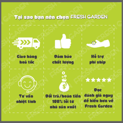 Bánh Quy Dừa Ăn Vặt FRESH GARDEN Vị Dừa Thơm Ngon Giòn Tan Ngay Trong Miệng Hộp 80G