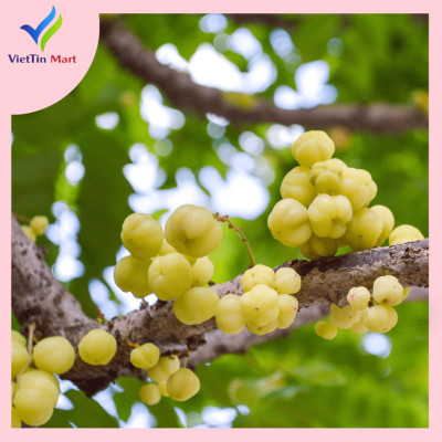 Chùm Ruột Rim Chua Ngọt Viettin Mart 500g