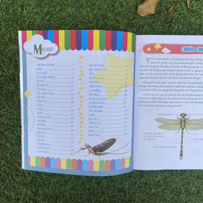 Sách- Bách Khoa Động Vật Dành Cho Trẻ Nhỏ - Côn Trùng