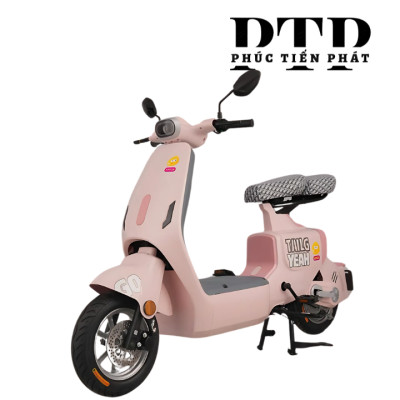 Xe Điện TAILG GR55