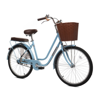 Xe đạp Thống nhất nữ LD 24-02 - Hàng chính hãng