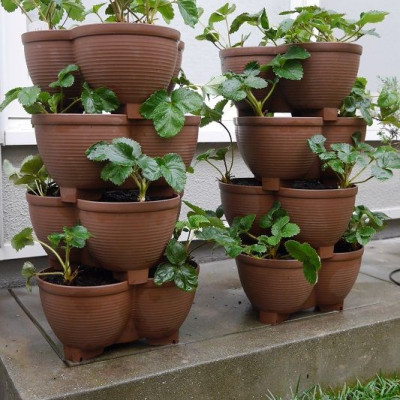 Chậu trồng cây tiện lợi tiết kiệm diện tích chính hiệu Yamada 4L hàng Made in Japan #No583