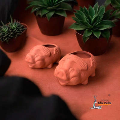 Chậu Gốm Đất Nung Hình chú Heo Con Mini