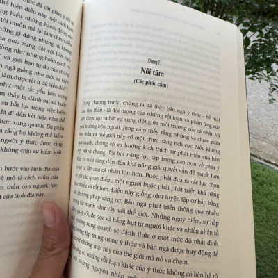 BẢN ĐỒ TÂM HỒN CON NGƯỜI CỦA JUNG - Khám Phá Thế Giới Nội Tâm Qua Lăng Kính Của C.G. Jung – Murray Stein – Alphabooks – NXB Tri Thức