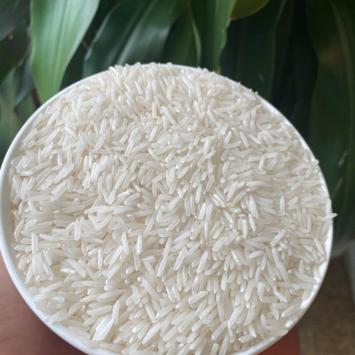 Đặc sản Sóc Trăng - Gạo Thơm ST25 Túi 5Kg - Đạt Giải Gạo Ngon Nhất Thế Giới Năm 2019 tại Manila - OCOP 4 Sao