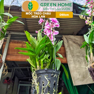 10 Móc Treo Chậu Lan Greenhome, D60Cm, Thiết Kế Tối Giản, Thẩm Mỹ, Treo Lan, Chậu Hoa, Dễ Sử Dụng