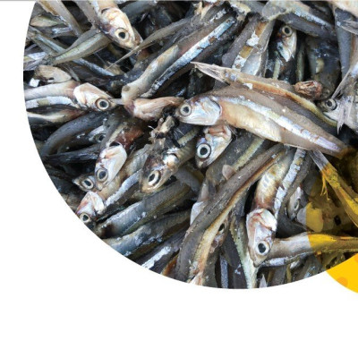 Thùng 6 Chai Nước Mắm Cốt Phú Quốc - Quốc Vị Độ Đạm 40N Chai Thủy Tinh 520ml Cá Cơm