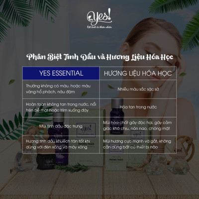 TINH DẦU GỖ HỒNG YES! ( ROSEWOOD ESSENTIAL OIL )