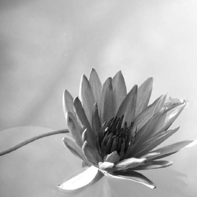 Sức Mạnh Lòng Kiên Nhẫn (Tái Bản)