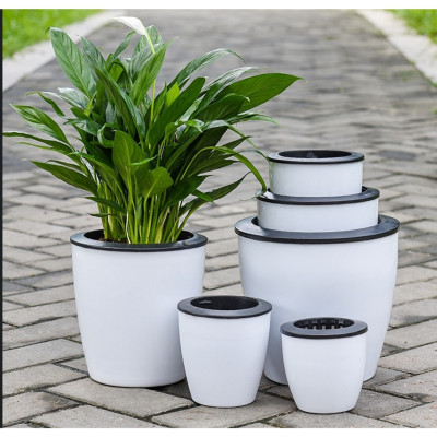 Chậu tự tưới thông minh MONROVIA, cho hoa, cây cảnh, decor nhà cửa, văn phòng, bàn làm việc