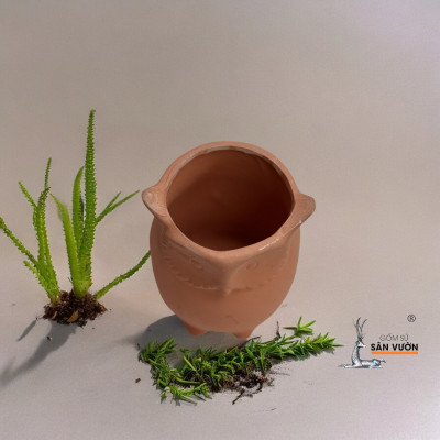Chậu Gốm Đất Nung Hình Chú Cú Nhỏ Dễ Thương _ Chậu Gốm Đất Nung Trồng Sen Đá