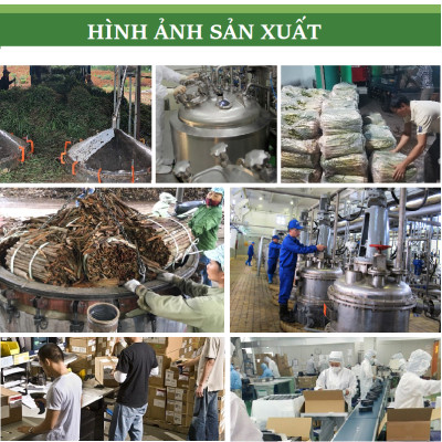 Tinh dầu Hồi (Hoa Hồi, Đại Hồi) nguyên chất 100% từ thiên nhiên, thư giản, xông phòng, đuổi muỗi - KingOil
