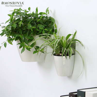 Chậu tự tưới treo tường MONROVIA, trang trí trong nhà, ban công, tiện lợi, sang trọng, tiêu chuẩn châu Âu