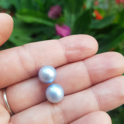 Đôi Bông Tai Ngọc Trai xanh dương nhẹ bóng đẹp 9mm  Size hạt 9mm ngọc trai cao cấp thiên nhiên mệnh Thủy Mộc   Nữ về bọc Vàng làm đôi bông tai vàng đeo cực kỳ xinh luôn ạ