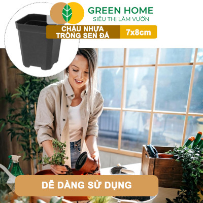 Bộ 10 Chậu Nhựa Trồng Sen Đá Greenhome, 7x8cm, Siêu Bền, Đẹp, Đa Năng, Trồng Mọi Loại Cây, Tiết Kiệm Không Gian