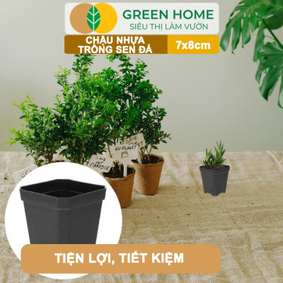 Bộ 10 Chậu Nhựa Trồng Sen Đá Greenhome, 7x8cm, Siêu Bền, Đẹp, Đa Năng, Trồng Mọi Loại Cây, Tiết Kiệm Không Gian