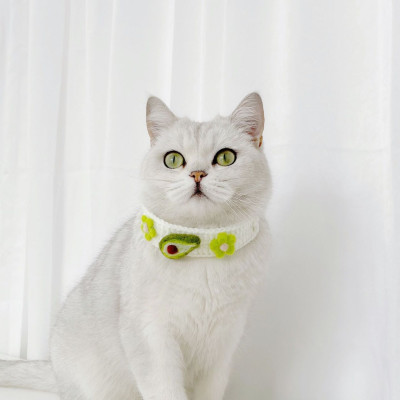 Vòng cổ len cao cấp cho chó mèo - Genyo Collar 062 ( mẫu giao ngẫu nhiên )