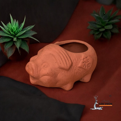 Chậu Gốm Đất Nung Hình chú Heo Con Mini