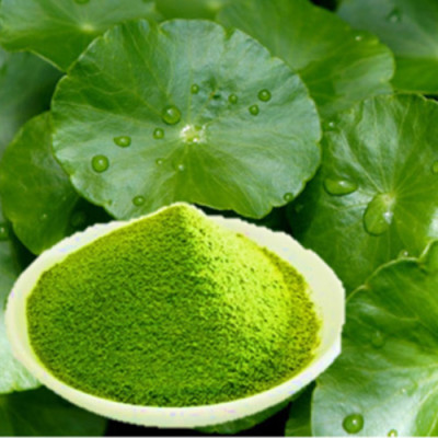 Bột Rau Má Sấy Lạnh Nguyên Chất 100% - Hủ 100gr