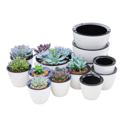 Chậu tự tưới thông minh MONROVIA, cho hoa, cây cảnh, decor nhà cửa, văn phòng, bàn làm việc