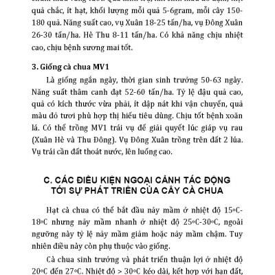 Kỹ Thuật Trồng, Chăm Sóc Cho Năng Suất Cao: Cà Chua, Cà Tím, Khoai Tây, Ngô, Đậu