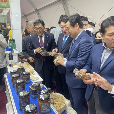 Mật Ong Bánh Tổ Jade Mountain Chứa Sáp Ong Nguyên Vẹn Chất Lượng Cao 500gr