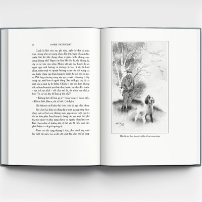 Con Bim trắng tai đen - Bìa cứng