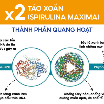 Dưỡng Thể Thư Giãn Phiten Metax Cream Wet B 65g