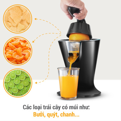 Máy vắt cam Lock&Lock EJJ256BLK 85W - Hàng chính hãng