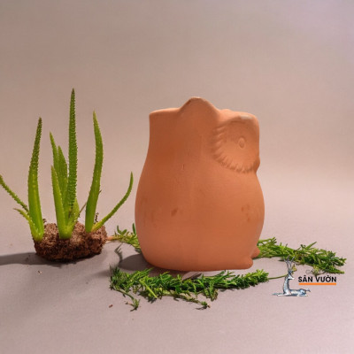 Chậu Gốm Đất Nung Hình Chú Cú Nhỏ Dễ Thương _ Chậu Gốm Đất Nung Trồng Sen Đá