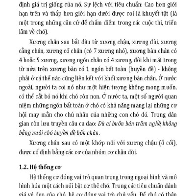 Nuôi Chó Mèo Và Nguy Cơ Lây Nhiễm Bệnh Từ Chó Mèo (Tái bản 2025)