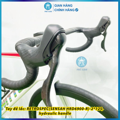 Xe đạp Twitter R5 Pro RS-24S FULL 6 món Carbon 