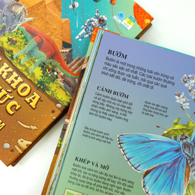 Sách Thiếu Nhi – Bách Khoa Tri Thức Dành Cho Trẻ Em – Đinh Tị