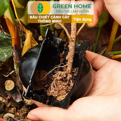 Bầu Chiết Cành Greenhome, Dụng Cụ Làm Vườn, Tăng Khả Năng Ra Rễ, Chống Úng Cành Chiết, Độ Bền Đến 2 Năm, Dễ Sử Dụng