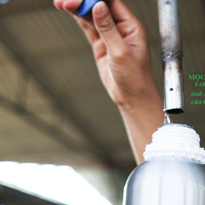 Tinh dầu Khuynh Diệp (bạch đàn) 50ml nguyên chất từ thiên nhiên - Mộc Mây