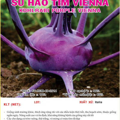 Hạt giống Su hào tím Italy VTS27