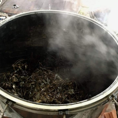 Tinh dầu Tràm Organic hữu cơ 100ml Mộc Mây - tinh dầu thiên nhiên nguyên chất 100% - dùng xông tắm ngừa cảm lạnh, giảm côn trùng cắn đốt cho Bé, Trẻ sơ sinh và Trẻ nhỏ | An toàn cho làn da nhạy cảm của Bé