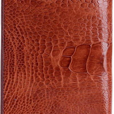 Ví Nam Huy Hoàng HT2412 (10 x 12.5 cm) - Vàng Bò