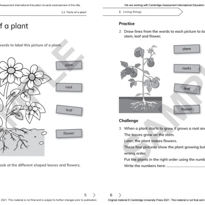 Cambridge Primary Science Workbook 1 With Digital Access (1 Year) 2nd Edition