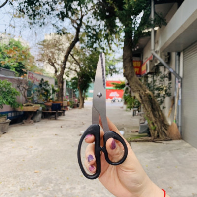 Combo 03 Kéo văn phòng Echo Metal 180mm hàng nội địa Nhật Bản (giao màu ngẫu nhiên)