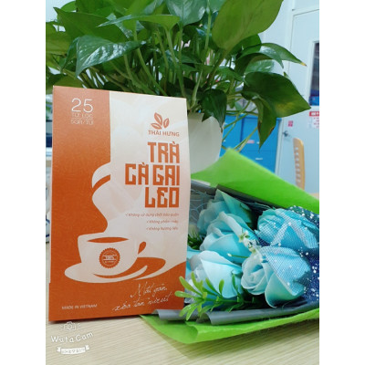 Combo 02 Hộp Trà Cà gai leo Thái Hưng 25 túi lọc x 05g (125g) - Mát gan, giải độc, giải rượu, giảm mụn nhọt