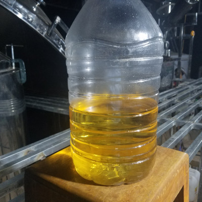 Tinh dầu Khuynh Diệp (bạch đàn) 50ml nguyên chất từ thiên nhiên - Mộc Mây