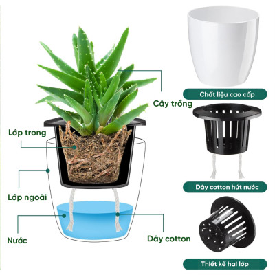 Chậu tự tưới thông minh MONROVIA, cho hoa, cây cảnh, decor nhà cửa, văn phòng, bàn làm việc