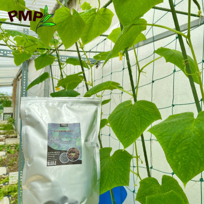 Acid Humic Canada PMP 01Kg